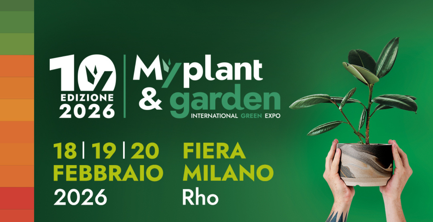 Immagine x Sito Grin ITA