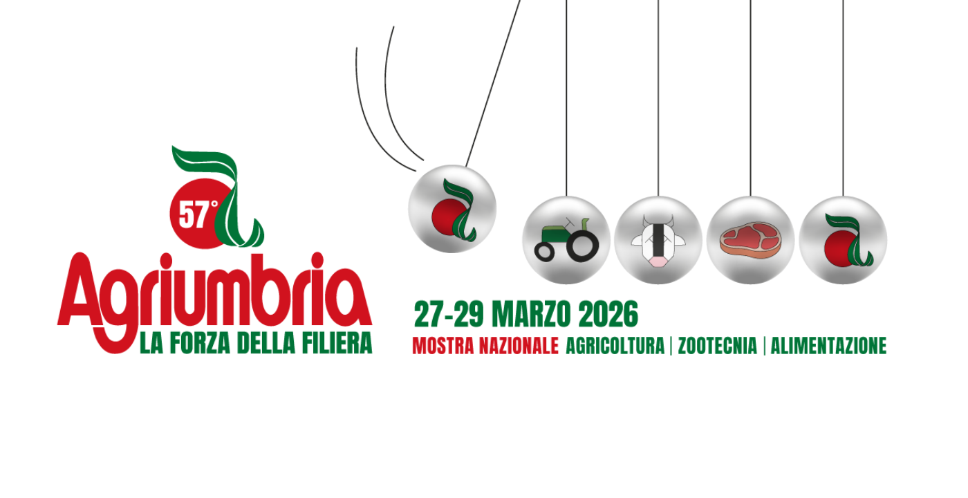 Immagine x Sito Grin